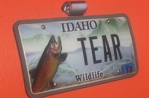 do teardrop trailers need license plates? 2